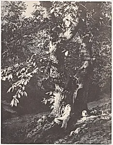 Homme allongé au pied d'un chàtaignier by Charles Marville|Imprimerie photographique de Blanquart-Évrard, à Lille