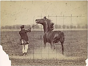 Horse by Ottomar Anschütz