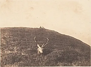 [Hunters Stalking a Deer] by Horatio Ross