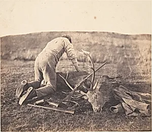 Jack Gralloching a Stag by Horatio Ross