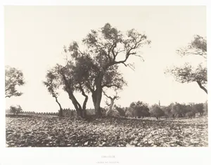 Jérusalem, Chemin de Naplouse