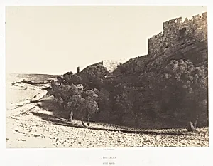 Jérusalem, Côté Nord de Jérusalem by Auguste Salzmann|Imprimerie photographique de Blanquart-Évrard, à Lille