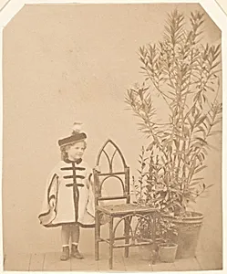 La ?aurier rose by Pierre-Louis Pierson