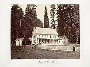 Mammoth Grove Hotel by Carleton E. Watkins