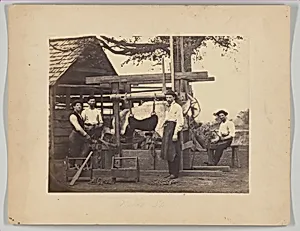 Mule Stock, Camp Nelson, Kentucky
