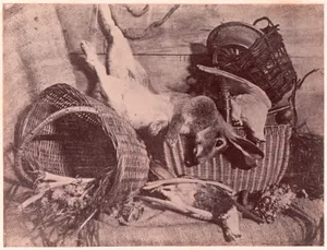 Nature morte au lièvre