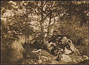[Oak Tree and Rocks, Forest of Fontainebleau]