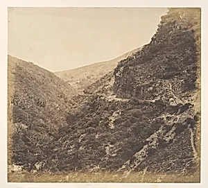 On the Road to Watersmeet, near Lynton, North Devon by Arthur Julius Pollock