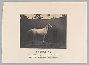 Pascaline