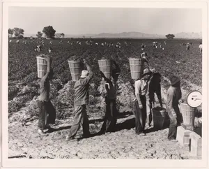 Portrait of Dorothea Lange