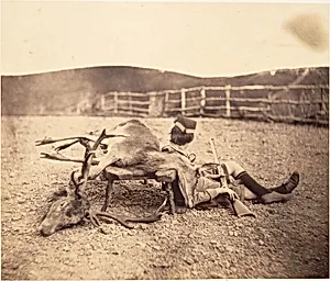 [Peel Ross with Hunting Trophies] by Horatio Ross