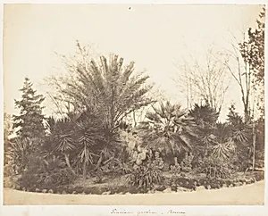 Pincian Garden, Rome