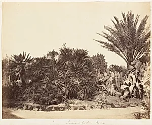 Pincian Garden, Rome