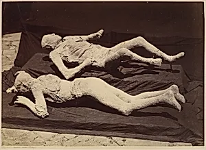 [Plaster Casts of Bodies, Pompeii]