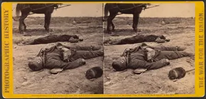 Rebel Artillery Soldiers, Killed in the Trenches of Fort Mahone, Called by the Soldiers "Fort Damnation," at the Storming of Petersburgh, Virginia