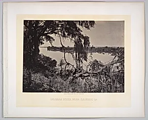 Savannah River, near Savannah, Georgia