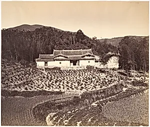 Teafield & Josshouse at Peling