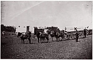 The Crack Team of the 1st Division, 6th Corps near Hazel River, Virginia by Mathew B. Brady|Timothy H. O'Sullivan