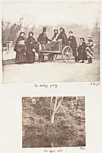 The Donkey Party; The Upper Lake