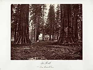 The Hotel from Mammoth Grove by Carleton E. Watkins