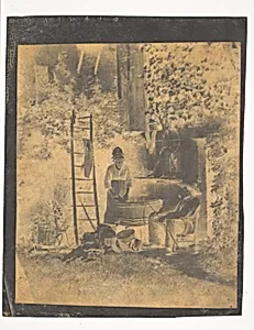 The Laundry