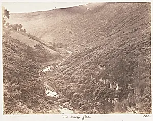 The Lonely Glen by John Dillwyn Llewelyn