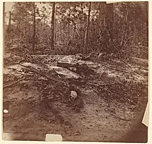 [The Wilderness Battlefield] by Unknown