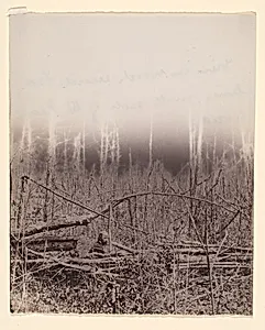 [The Wilderness Battlefield] by Unknown