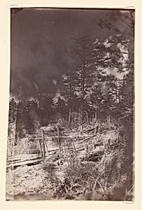 [The Wilderness Battlefield] by Unknown