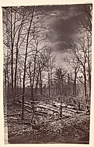 [The Wilderness Battlefield] by Unknown
