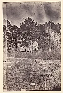 [The Wilderness Battlefield] by Unknown