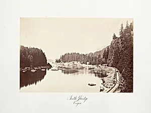 Tooth Bridge, Oregon by Carleton E. Watkins