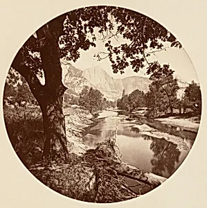 [Trees in Calaveras Grove and Views of Yosemite, California] by Carleton E. Watkins
