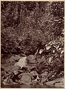 Tropical Scenery, Cascade, Limon River