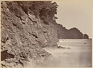 Tropical Scenery, Cliff - Limon Bay