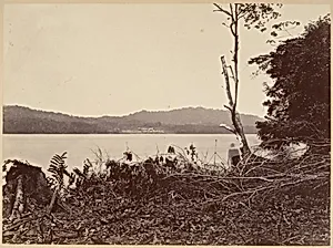 Tropical Scenery, Darien Harbor, Chipigana