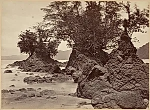 Tropical Scenery, Limon Bay - Low Tide