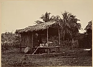 Tropical Scenery, Native Hut, Turbo