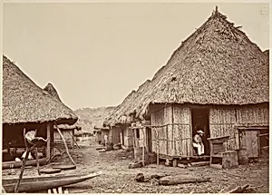 Tropical Scenery, Street, Chipigana