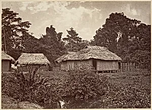 Tropical Scenery, Turbo Village