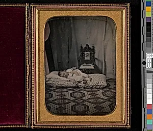 [Victor Alexander Bruce (1849-1917), 1st Son of the 8th Earl of Elgin (Canada)] by Unknown