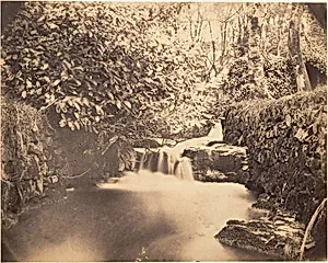 [View in the Gardens at Netherley] by Horatio Ross