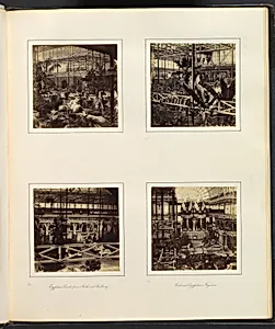 [View of Sphinxes Among Foliage; View of Tropical Foliage; Egyptian Court from North-east Gallery; Colossal Egyptian Figures] by Philip Henry Delamotte