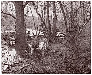 [View on Rapidan River, Virginia] by Timothy H. O'Sullivan|Mathew B. Brady