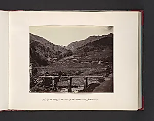 View up the Valley in the Rear of the Settlement, Yokohama by John Thomson