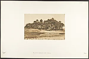 Vue de l'île d'Eléphantine, en face d'Assouan by Maxime Du Camp