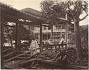 Way to the Theater Pon-Jing-Quais Garden, Canton by John Thomson
