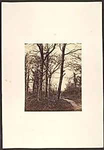 Winter by Charles Conway
