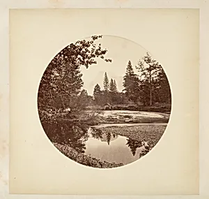 [Yosemite National Park, California] by Carleton E. Watkins