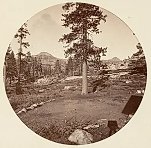 [Yosemite National Park, California] by Carleton E. Watkins